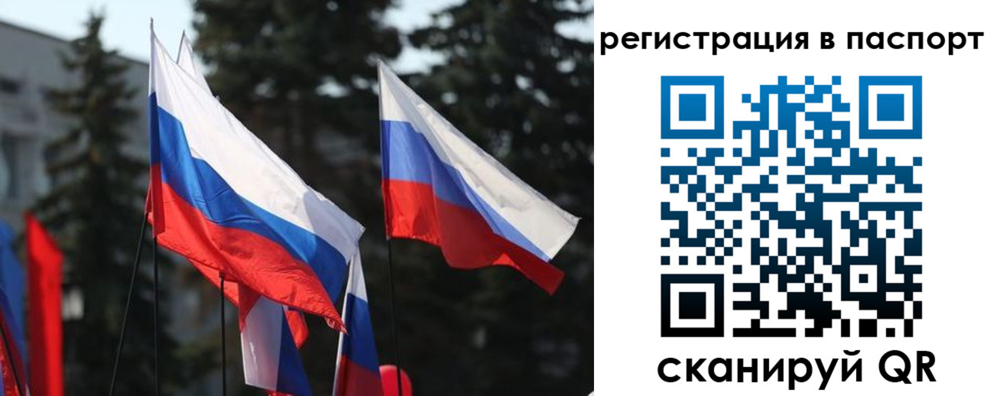 прописка штамп в Ершове